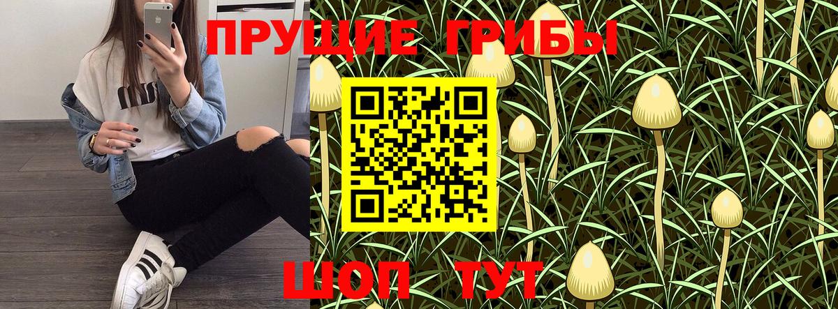 Канск  Псилоцибиновые грибы GOLDEN TEACHER  Вход с VPN  Галлюциногенные грибы ЛСД 
